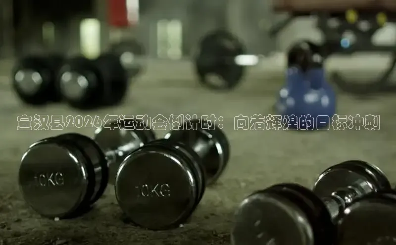 球速体育网站