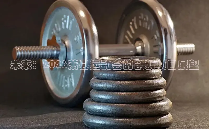 球速体育网页版