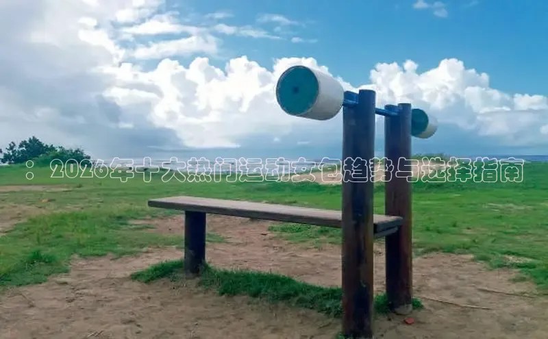 球速体育比分